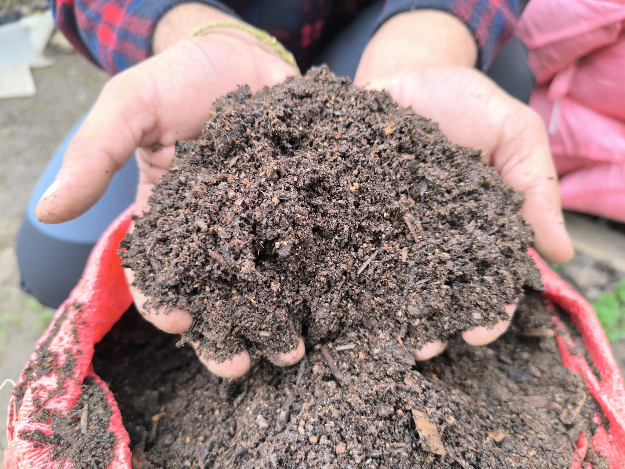 Joven agricultor de Pichidegua apostó por el campo y desarrolla innovador proyecto