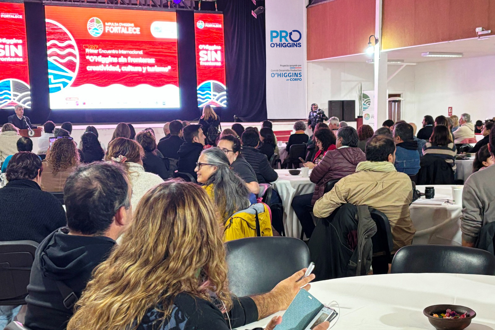 Impulsa O’Higgins Fortalece cerró con éxito tres encuentros internacionalesque potenciaron el turismo, la agricultura y la minería sostenible en la región