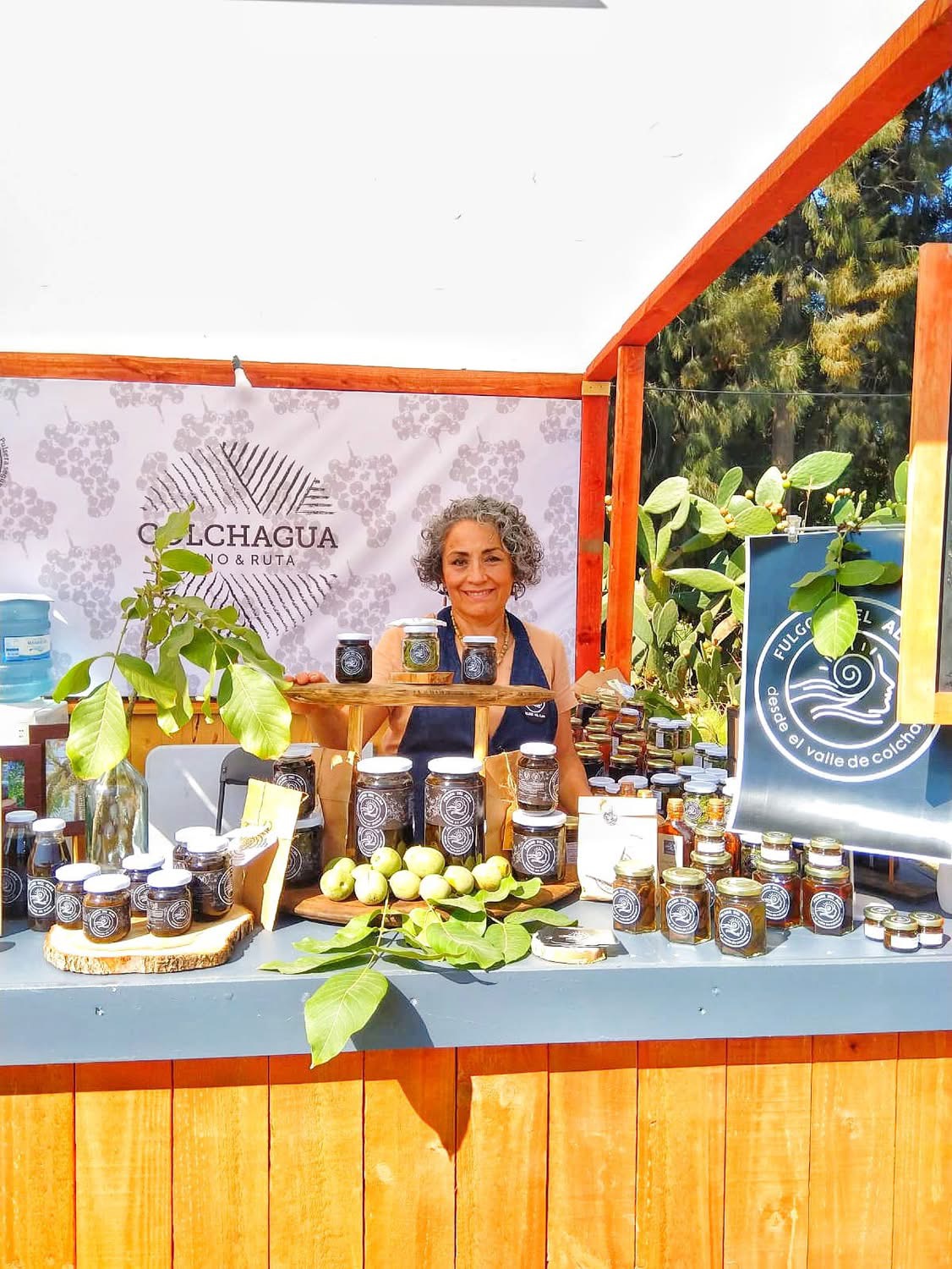 Dos productoras agrícolas de O’Higgins participarán en el Festival Ñam Santiago 2026