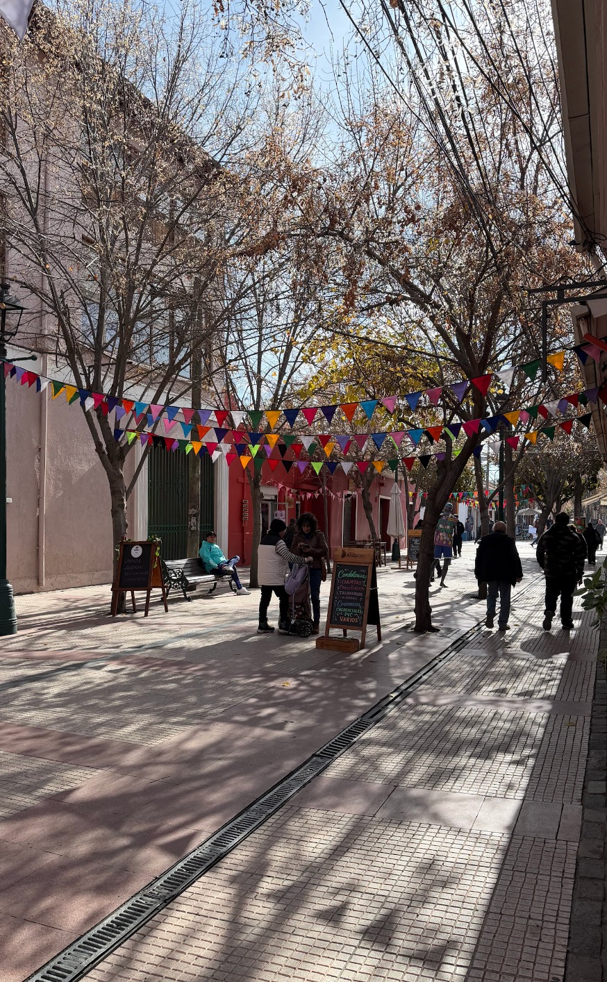 Barrio Comercial Estado Sur invita a redescubrir el casco histórico de Rancagua a través del comercio local