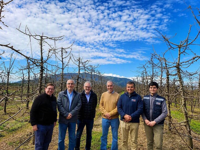 Coltauco: En huerto piloto de cerezas destacan resultados de capacitación y uso de tecnologías agrícolas