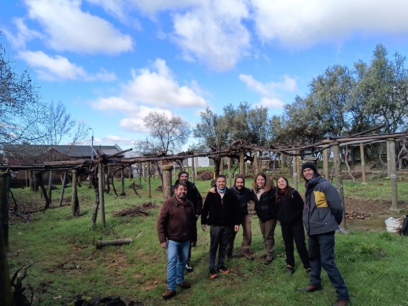 Parras de 160 años y vigas de robles nacidos hace más de ocho siglos: la madera revela la historia del vino chileno